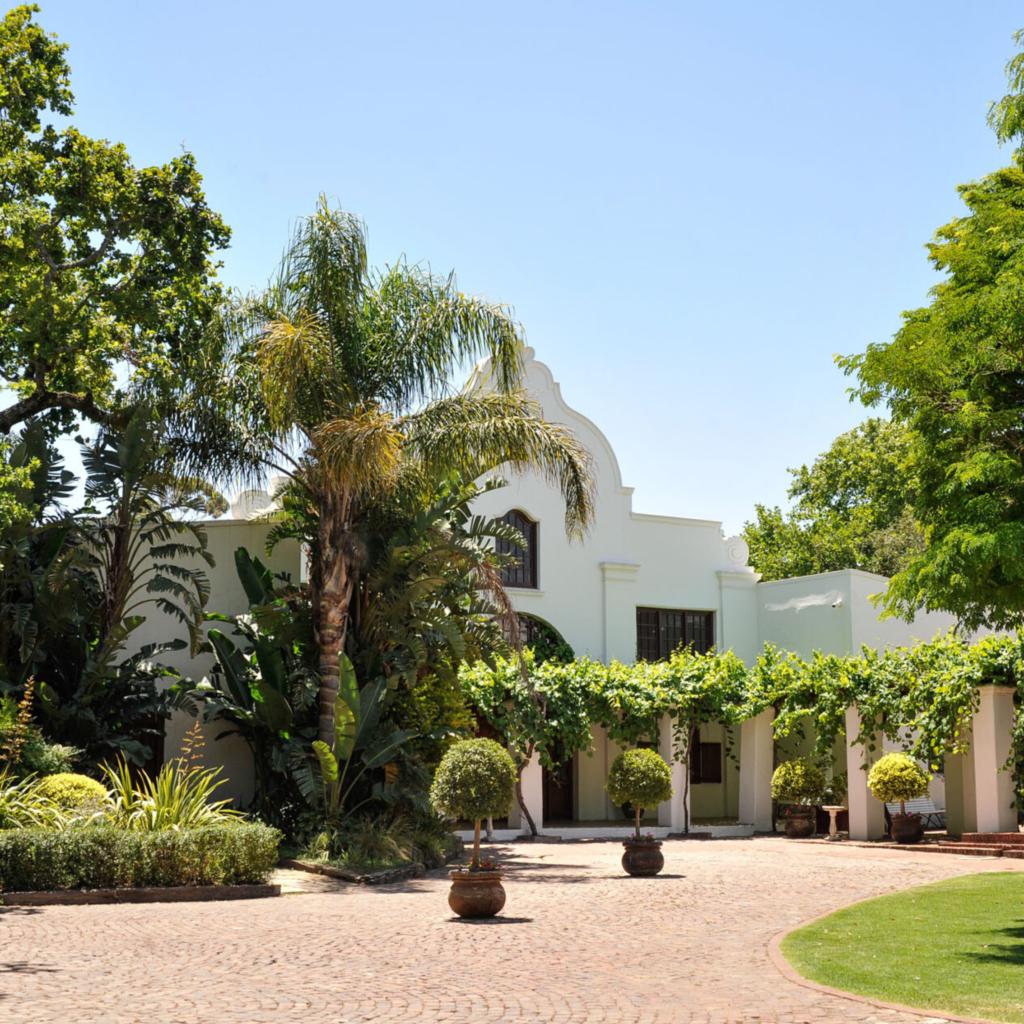 Caelyn and Ryan Van Der Bank | South African destination vineyard wedding Caelyn and Ryan Van Der Bank | South African destination vineyard wedding