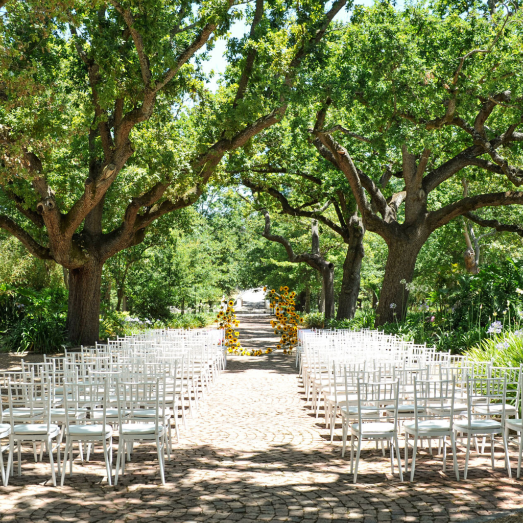 Caelyn and Ryan Van Der Bank | South African destination vineyard wedding Caelyn and Ryan Van Der Bank | South African destination vineyard wedding